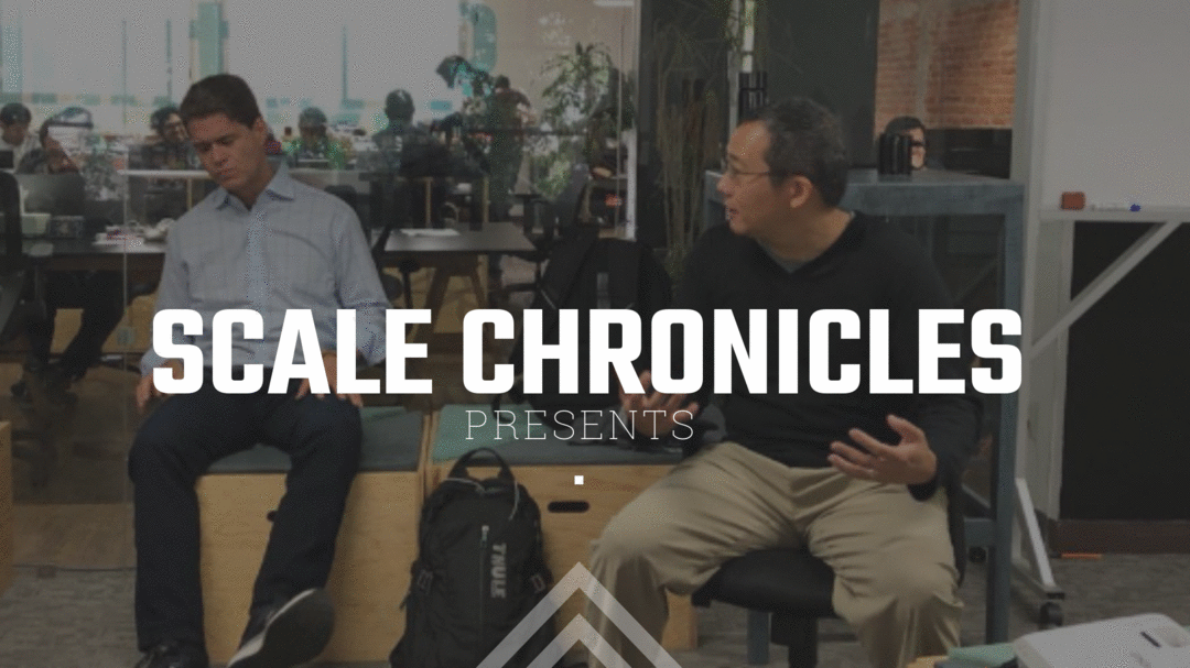 SCALE CHRONICLES: Let’s talk about Blitzcaling - The Pursuit of Rapid Growth